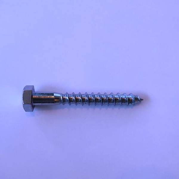 Exterior Coach Screw M10 75mm 1840